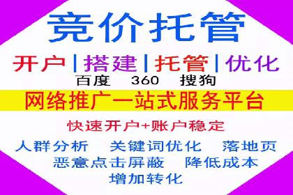 某品牌SEM推广代运营的实践与效果评估